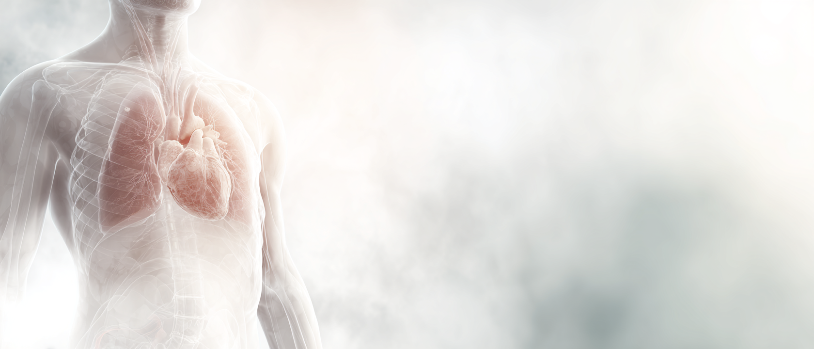 k1marketing_germany_soft_clean_premium_medical_CGI_premium_ed_accd7983-0dd0-4bd9-9dc0-1f6c3c13b0cc_3